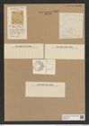 Actinoptychus tener Gr. et St. (de-Toni-Nr.: Genus 227, Species 5560) Zeichnungen Sammlung Grunow Nr. 9589 (NHMW-BOT-W0379406)